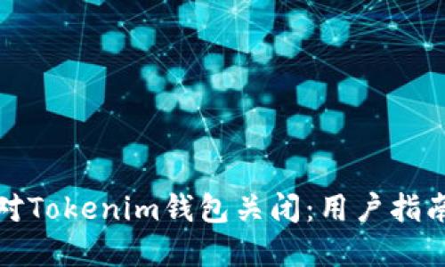 如何应对Tokenim钱包关闭：用户指南与建议