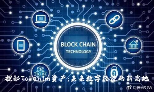 探秘Tokenim资产：未来数字经济的新高地