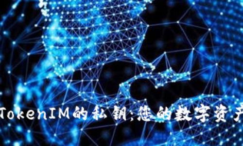 如何查看TokenIM的私钥：您的数字资产安全指南