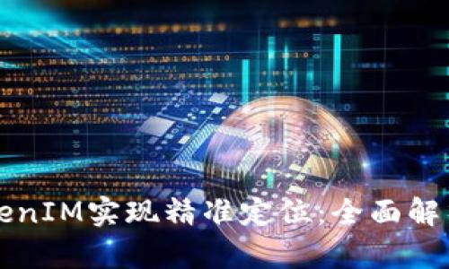 如何利用TokenIM实现精准定位：全面解析和应用指南