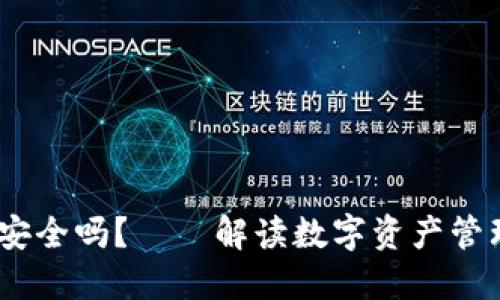 Tokenim中的APP安全吗？——解读数字资产管理的安全性与风险