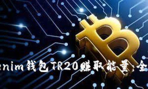 如何通过Tokenim钱包TR20赚取能量：全面攻略与技巧