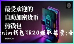 如何通过Tokenim钱包TR20赚取