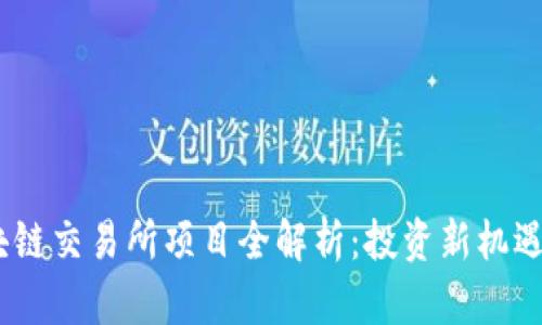 2023年区块链交易所项目全解析：投资新机遇与潜在风险