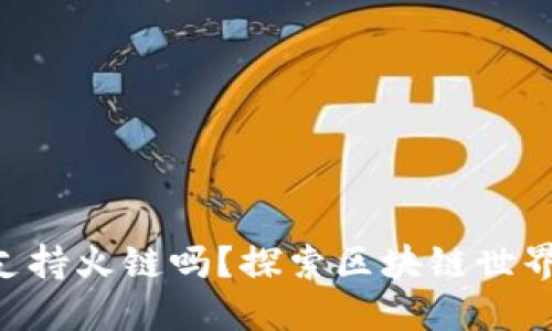 Tokenim钱包支持火链吗？探索区块链世界的无限可能性