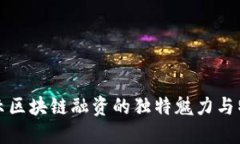 揭示区块链融资的独特魅