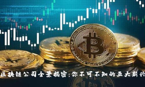 奉贤区块链公司全景揭密：你不可不知的五大新兴企业