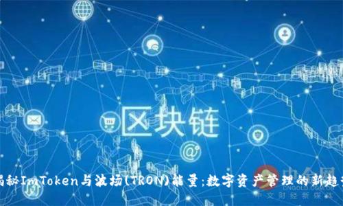 揭秘ImToken与波场(TRON)能量：数字资产管理的新趋势