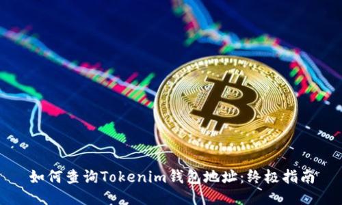 如何查询Tokenim钱包地址：终极指南
