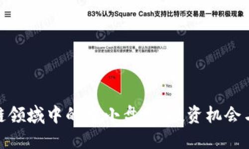 揭秘区块链领域中的中小盘股：投资机会与潜在风险