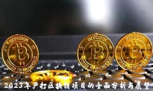 
2023年严打区块链项目的全面分析与展望