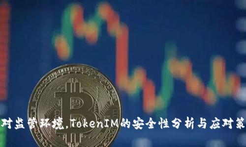 面对监管环境，TokenIM的安全性分析与应对策略
