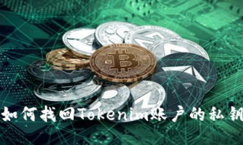 如何找回Tokenim账户的私钥