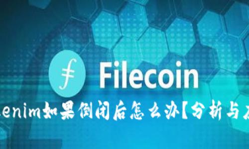 codeTokenim如果倒闭后怎么办？分析与应对策略