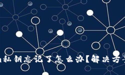 Tokenim私钥忘记了怎么办？解决方案与建议