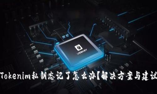 Tokenim私钥忘记了怎么办？解决方案与建议