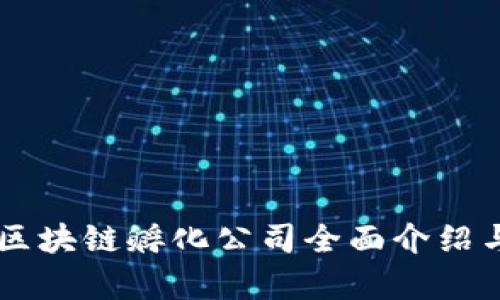 印度区块链孵化公司全面介绍与分析