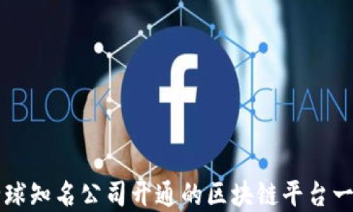 
全球知名公司开通的区块链平台一览