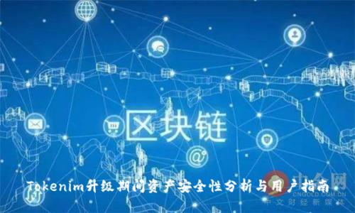 Tokenim升级期间资产安全性分析与用户指南