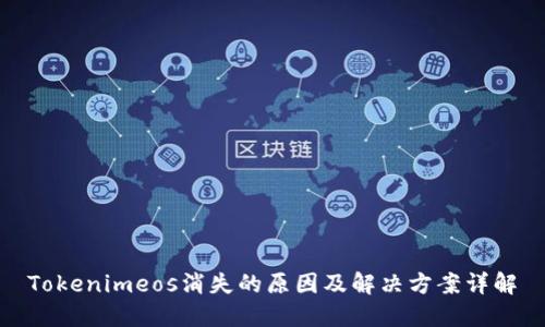 Tokenimeos消失的原因及解决方案详解
