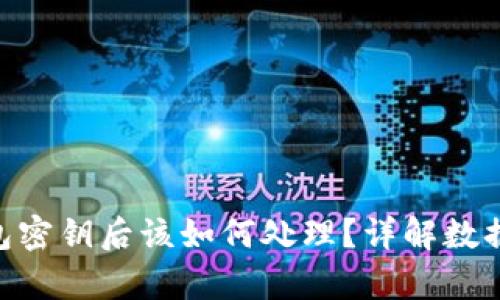 丢失Tokenim钱包密钥后该如何处理？详解数据恢复与安全措施