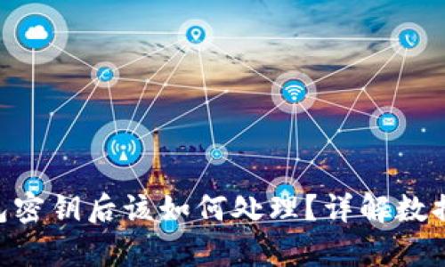 丢失Tokenim钱包密钥后该如何处理？详解数据恢复与安全措施