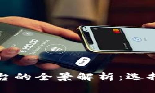 区块链私募平台的全景解析：选择最佳投资机会