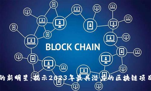 区块链的新明星：揭示2023年最具潜力的区块链项目与趋势