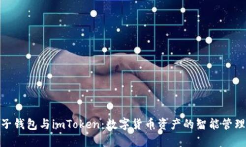  (麦子钱包与imToken：数字货币资产的智能管理工具