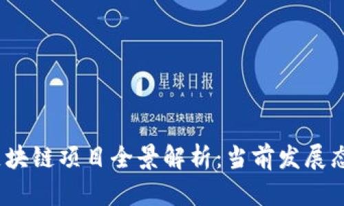 2023年全球区块链项目全景解析：当前发展态势与未来前景