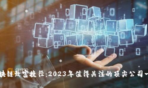 区块链致富捷径：2023年值得关注的顶尖公司一览