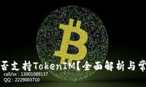 OpenSea是否支持TokenIM？全面解析与常见问题解答