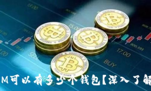  
一个TokenIM可以有多少个钱包？深入了解多钱包管理