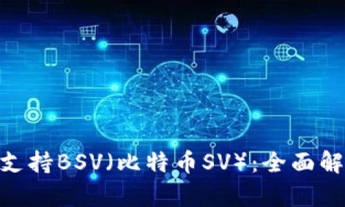 Tokenim如何支持BSV（比特币SV）：全面解析与使用指南