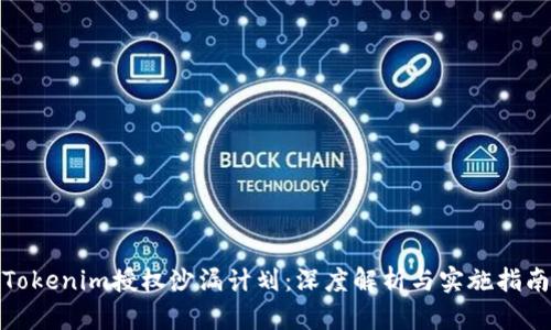 Tokenim授权沙漏计划：深度解析与实施指南