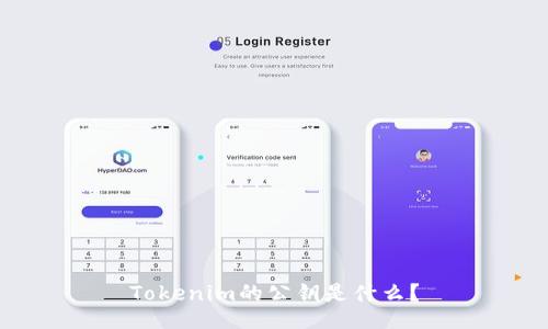 Tokenim的公钥是什么？